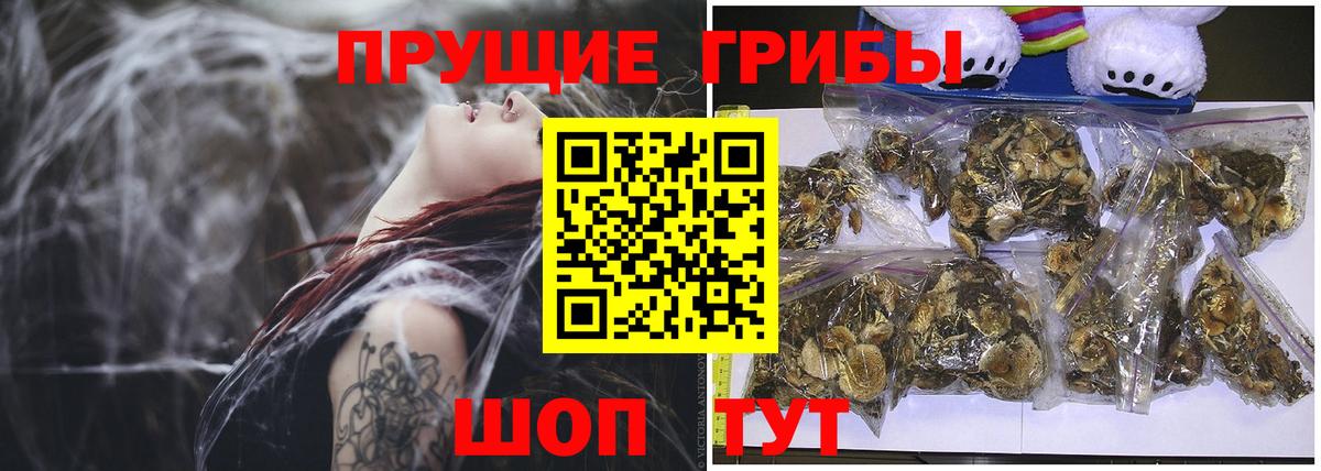 Псилоцибиновые грибы Psilocybe  Вход с VPN  Симферополь  Псилоцибиновые грибы прущие грибы 