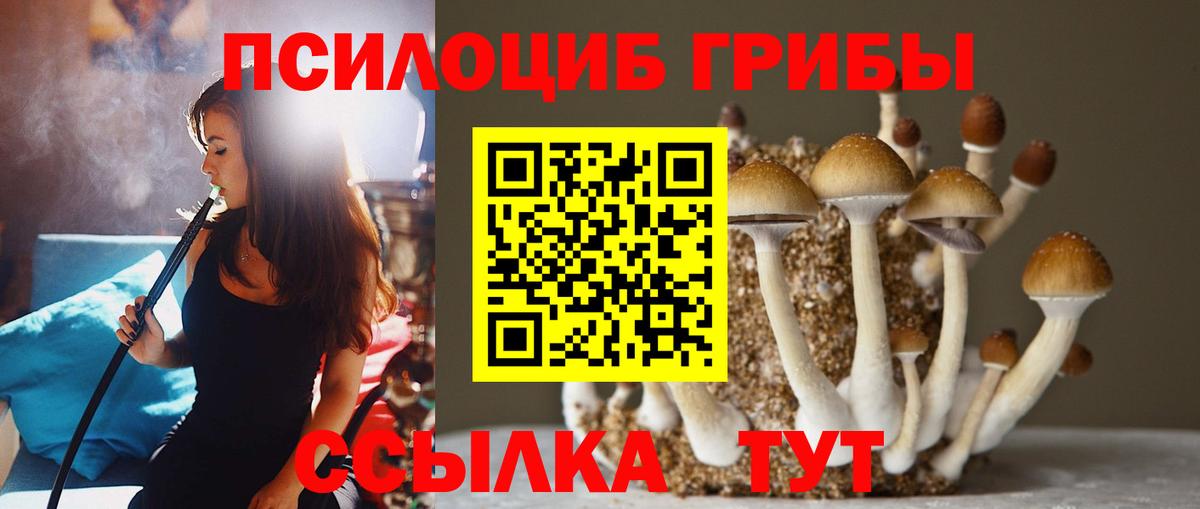 Галлюциногенные грибы MAGIC MUSHROOMS Симферополь